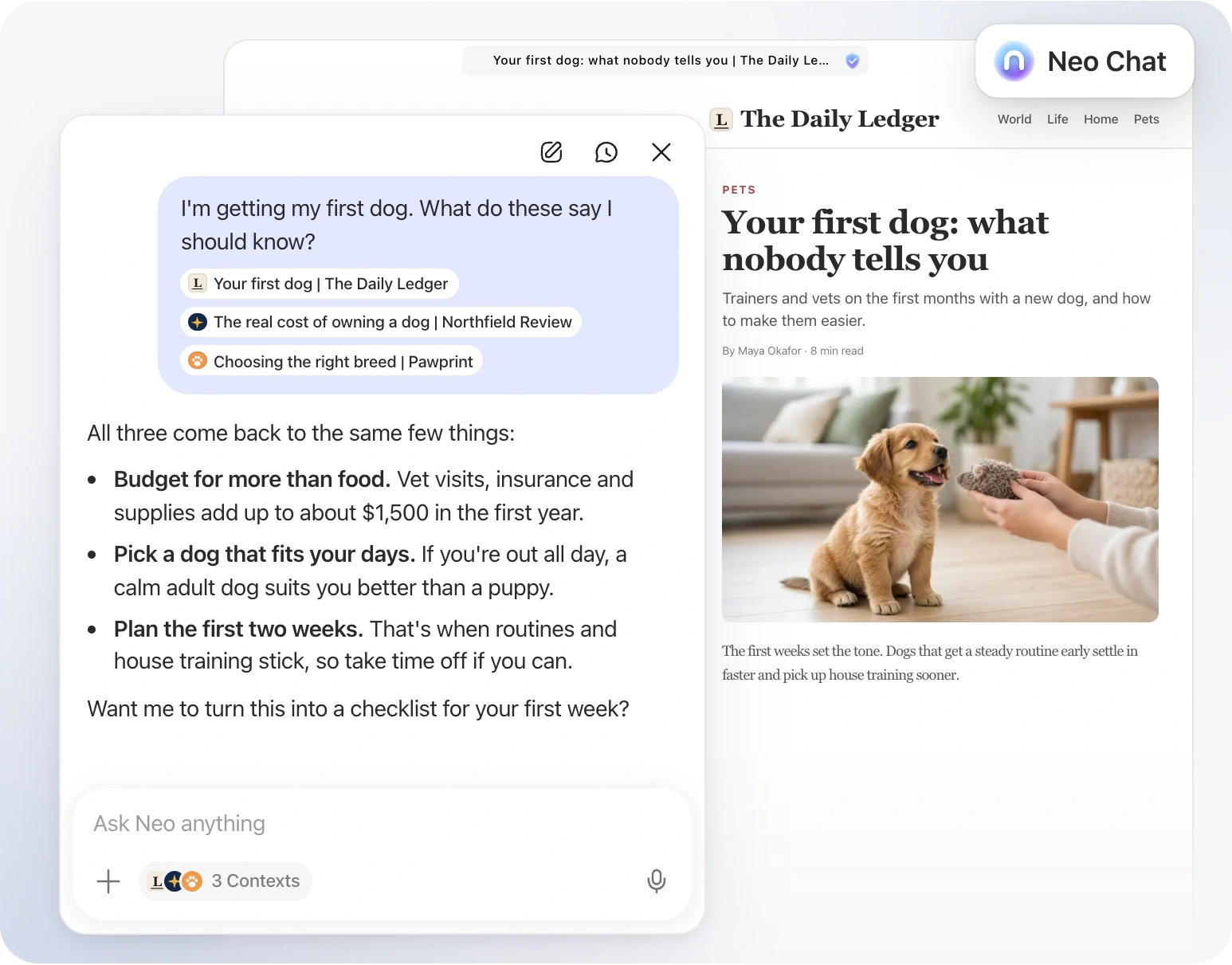 Neo Chat pulling together the key points from several open articles.